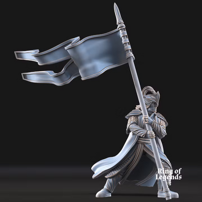 Royal Guard banner