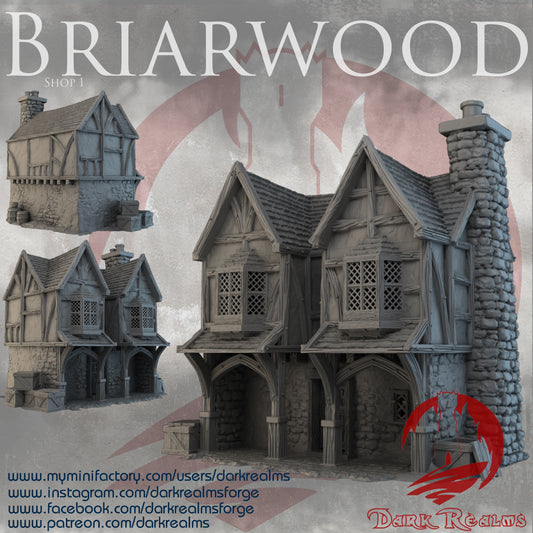Briarwood Shop 1 by Dark Realms in 32mm, 28mm, 15mm Scale 3D Printed Scenery for Wargaming Dnd and Warhammer