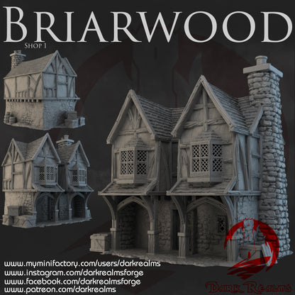 Briarwood Shop 1 by Dark Realms in 32mm, 28mm, 15mm Scale 3D Printed Scenery for Wargaming Dnd and Warhammer