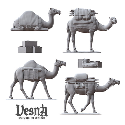 Pack Camels