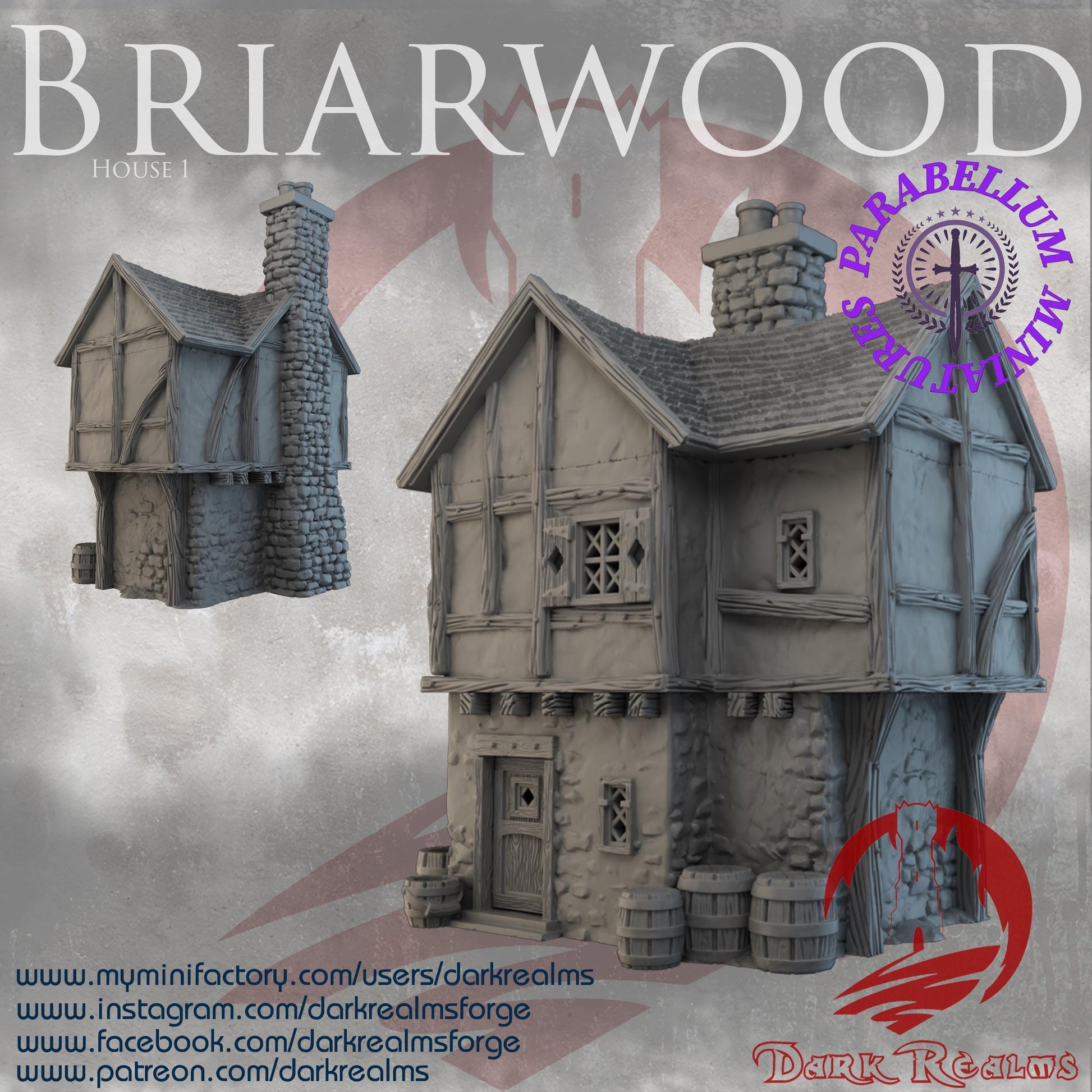 Village House 1 (Briarwood by DarkRealms) 32mm, 28mm, 15mm Scale 3D Printed Scenery for Wargaming Dnd and Warhammer