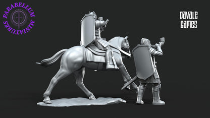 Grey Castle horn Mounted and foot