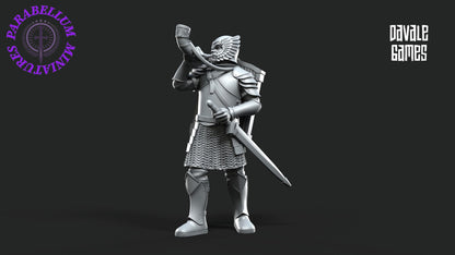 Grey Castle horn Mounted and foot