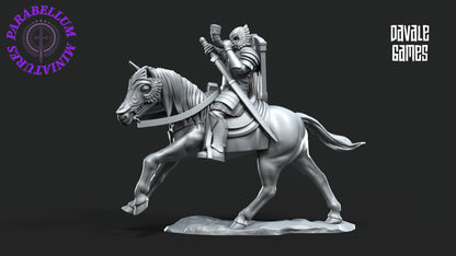 Grey Castle horn Mounted and foot