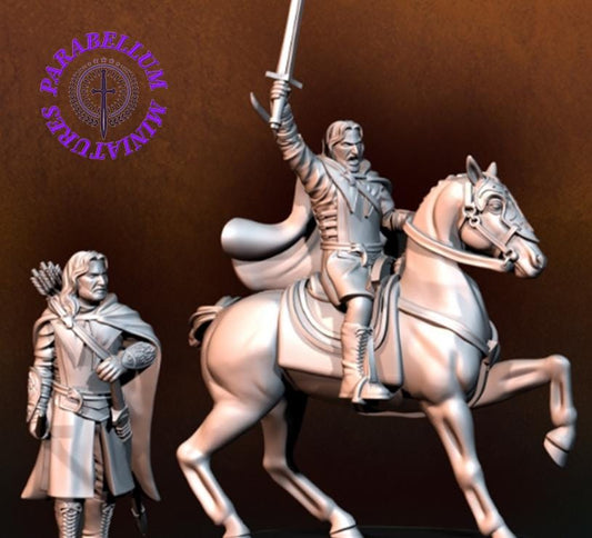 Captain of the Grey Castle foot and mounted