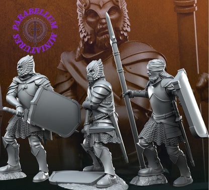 Wounded Grey Castle warriors