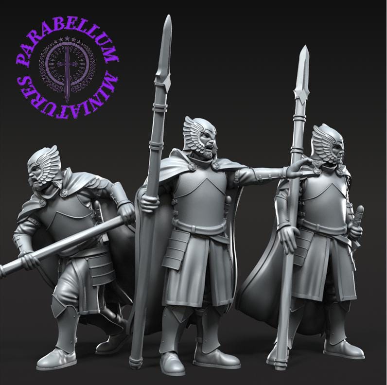 Grey Castle court guards on foot with spear