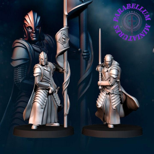 Bloody Elf Commander set