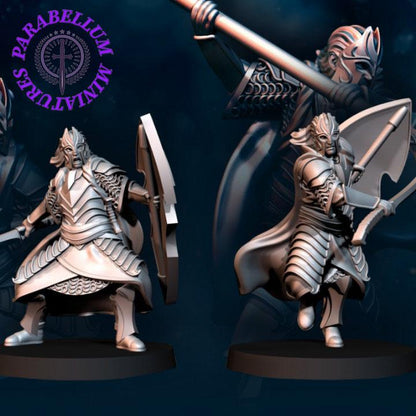 6x Bloody Elf King Guard