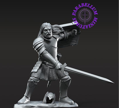 Grey Castle Captain on foot and mounted pose 2