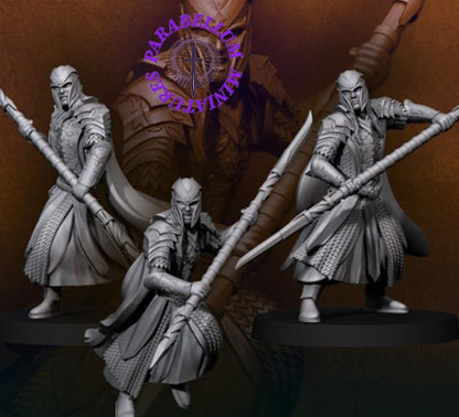 Armoured wood elves with spear