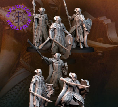 Wood Elf Kings Guard