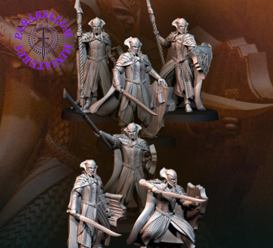 Wood Elf Kings Guard