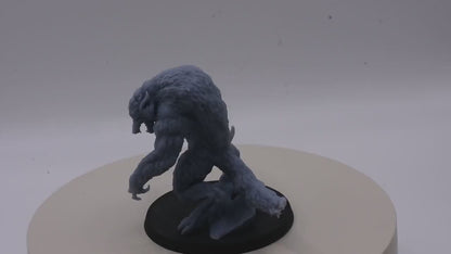 Werewolf - pose 1