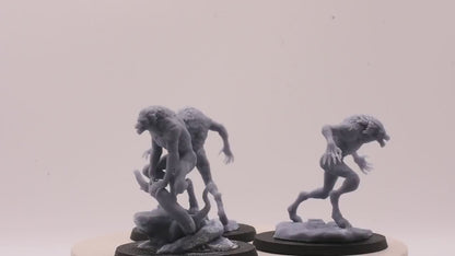 3x Lycanthropes of Anagar