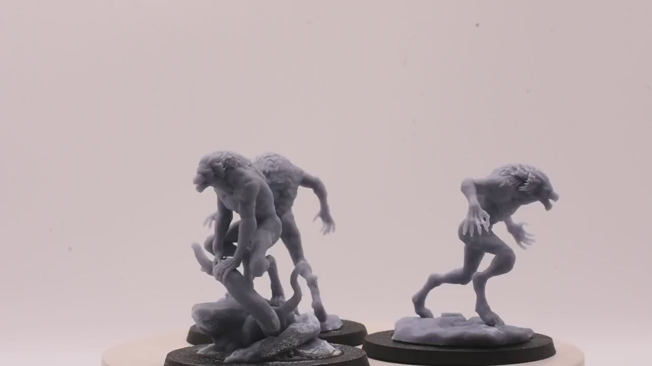 3x Lycanthropes of Anagar